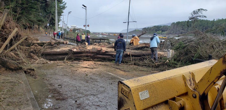 Noticias Chile | Se reporta tromba Marina en Llico , al momento sólo daños en árboles y tendido eléctrico