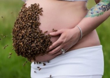 Noticias | Mujer embarazada es duramente criticada por sacarse foto con diez mil abejas sobre su vientre | INFORMADORCHILE