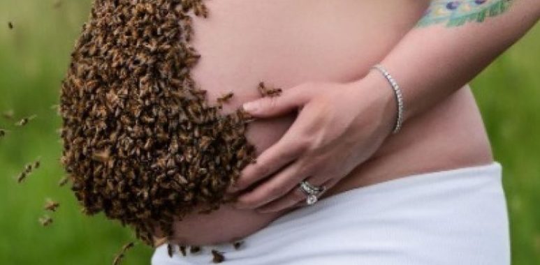 Noticias | Mujer embarazada es duramente criticada por sacarse foto con diez mil abejas sobre su vientre | INFORMADORCHILE