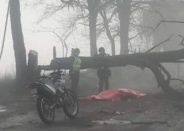 Noticias Chile | Joven trabajador muere luego de impactar barricada de árboles en La Araucanía