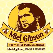Noticias Chile | Pequeño emprendedor de Miel podría ser demandado por famoso actor, debido a que su producto se llama "Miel Gibson "