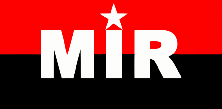 Noticias Chile | Movimiento de izquierda Revolucionaria, presentarán candidatos para la constituyente