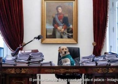 Noticias Chile | Perrito trató de tomar el puesto del presidente en La Moneda