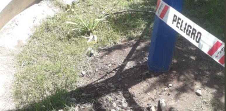 Noticias Chile | Perrito muere electrocutado al tocar poste de alumbrado en Parque Quinta Normal