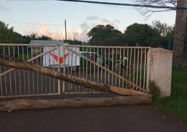 Noticias Chile | Familia Roe se toma el aeropuerto de Rapa Nui, exigen la devolución de las tierras ancestrales
