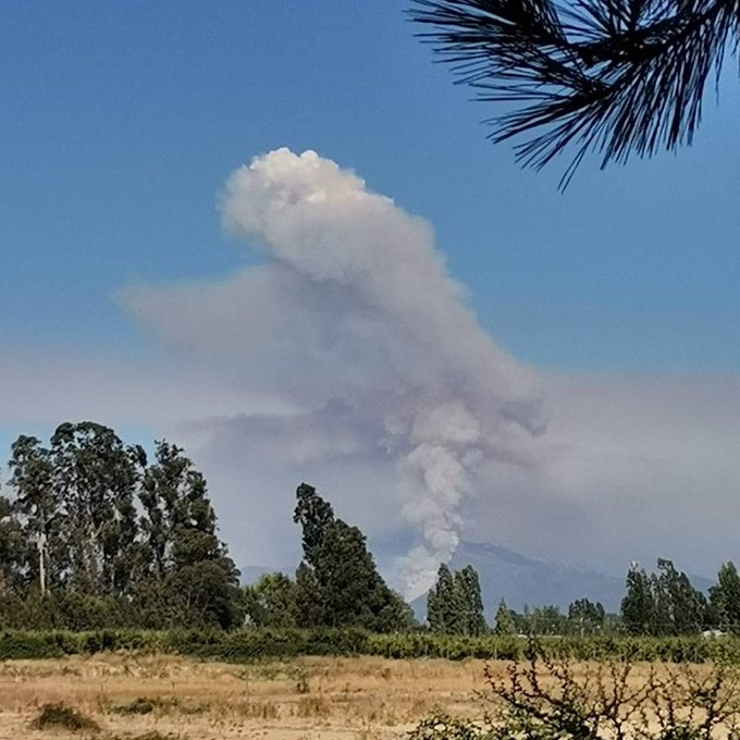 Noticias Chile | Descontrolado incendio forestal se registra en el Maule con proyección a Sierras de Bellavista y Laguna del Encanto