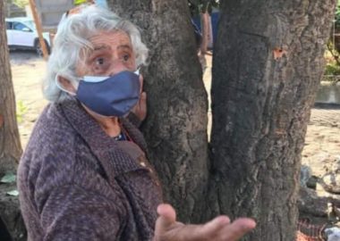 Noticias Chile | Mujer de 80 años se aferró a un árbol para evitar su tala, todo esto por mejoras en pavimentación en el sur del país