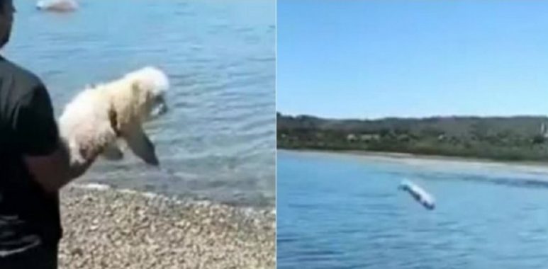 Noticias Chile | Informadorchile