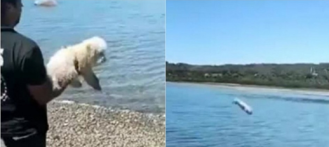 Noticias Chile | Informadorchile