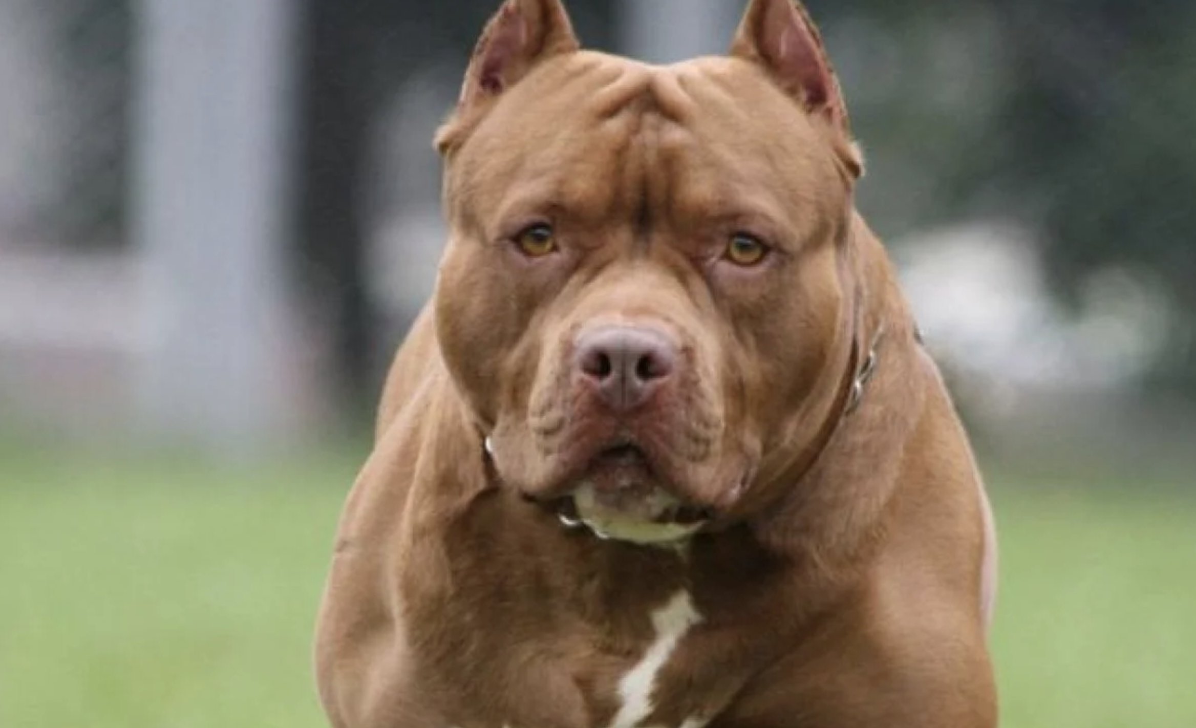 Noticias Chile | Informadorchile