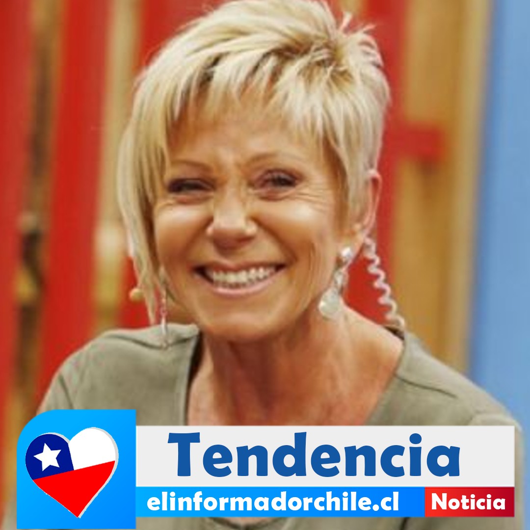 www.elinformadorchile.cl