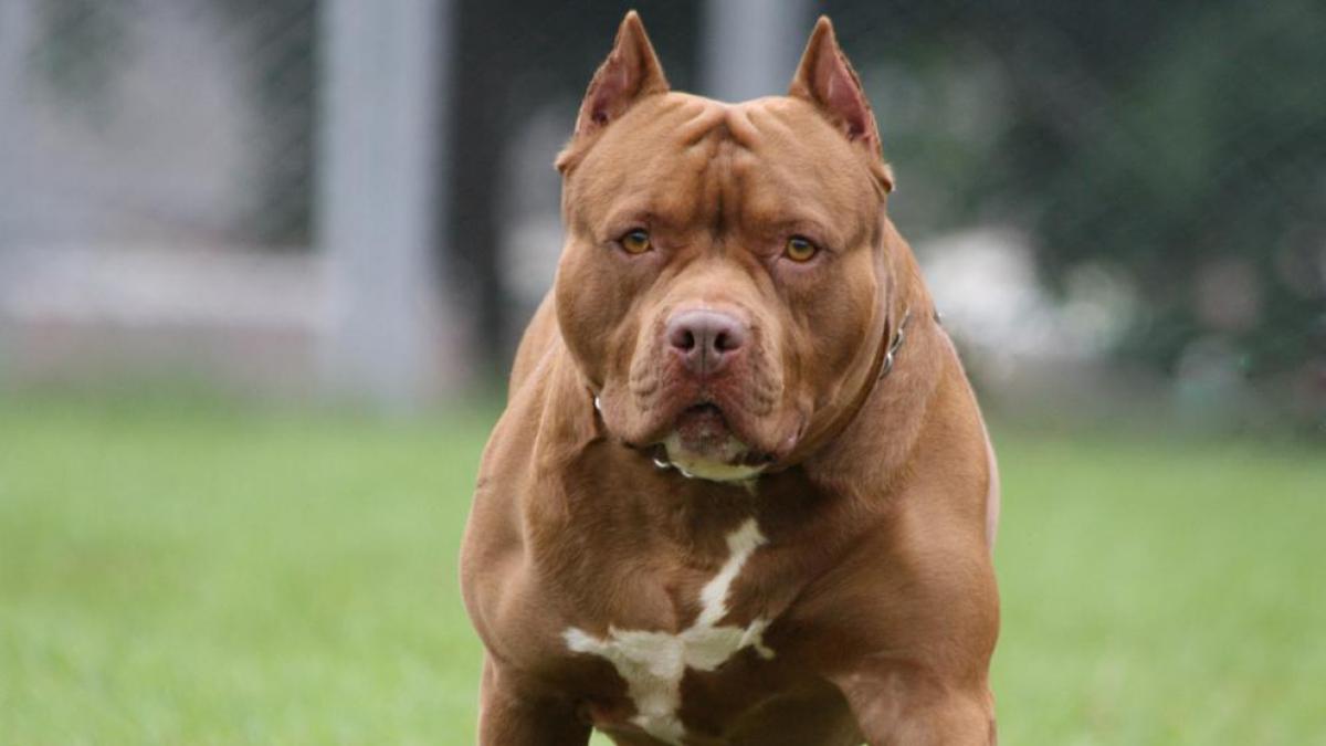 Noticias Chile | Informadorchile