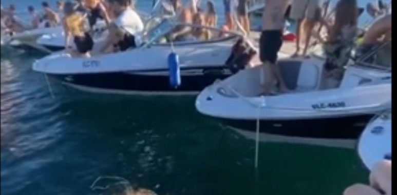 Noticias Chile | Informadorchile