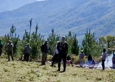 Noticias Chile | Informadorchile