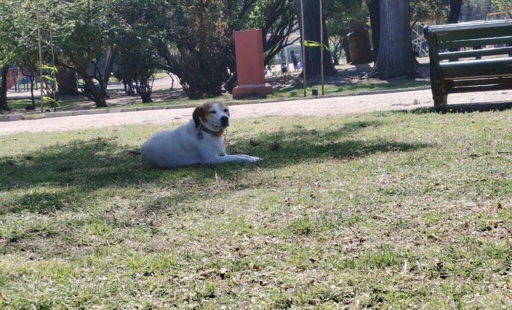 PARQUE BOTÁNICO | MARAVILLA