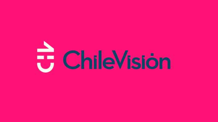 Elinformadorchile.cl