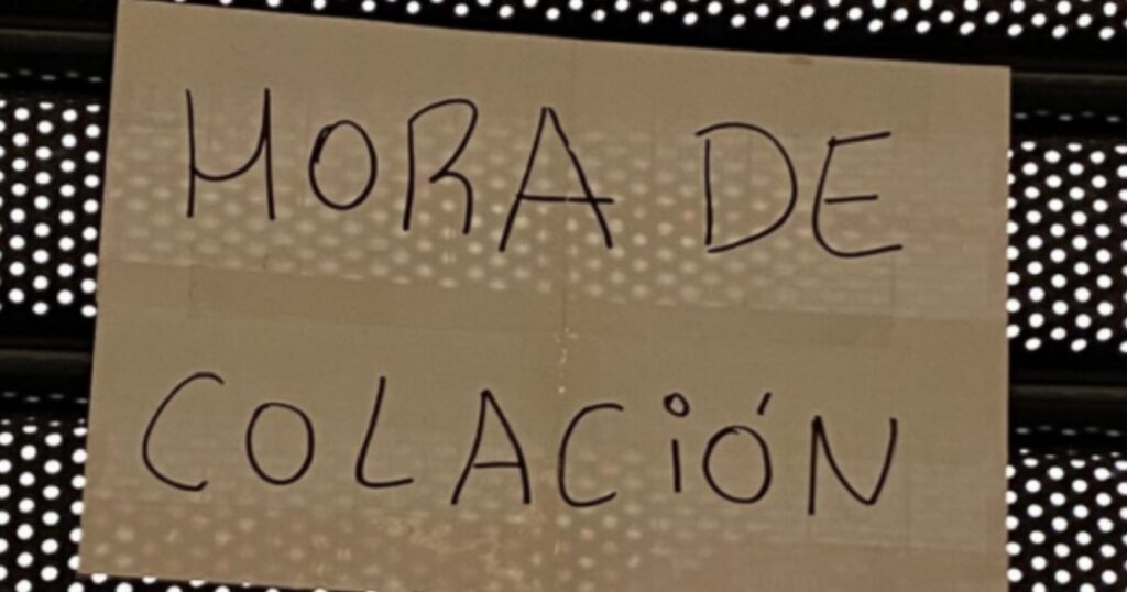 Elinformadorchile.cl 