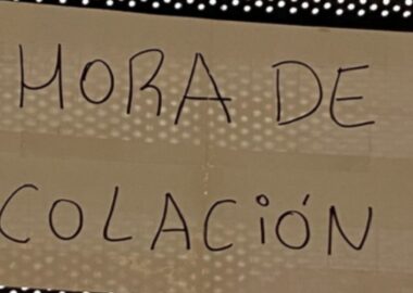 Elinformadorchile.cl